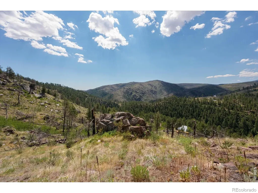 693 Cougar Drive Bellvue CO 80512