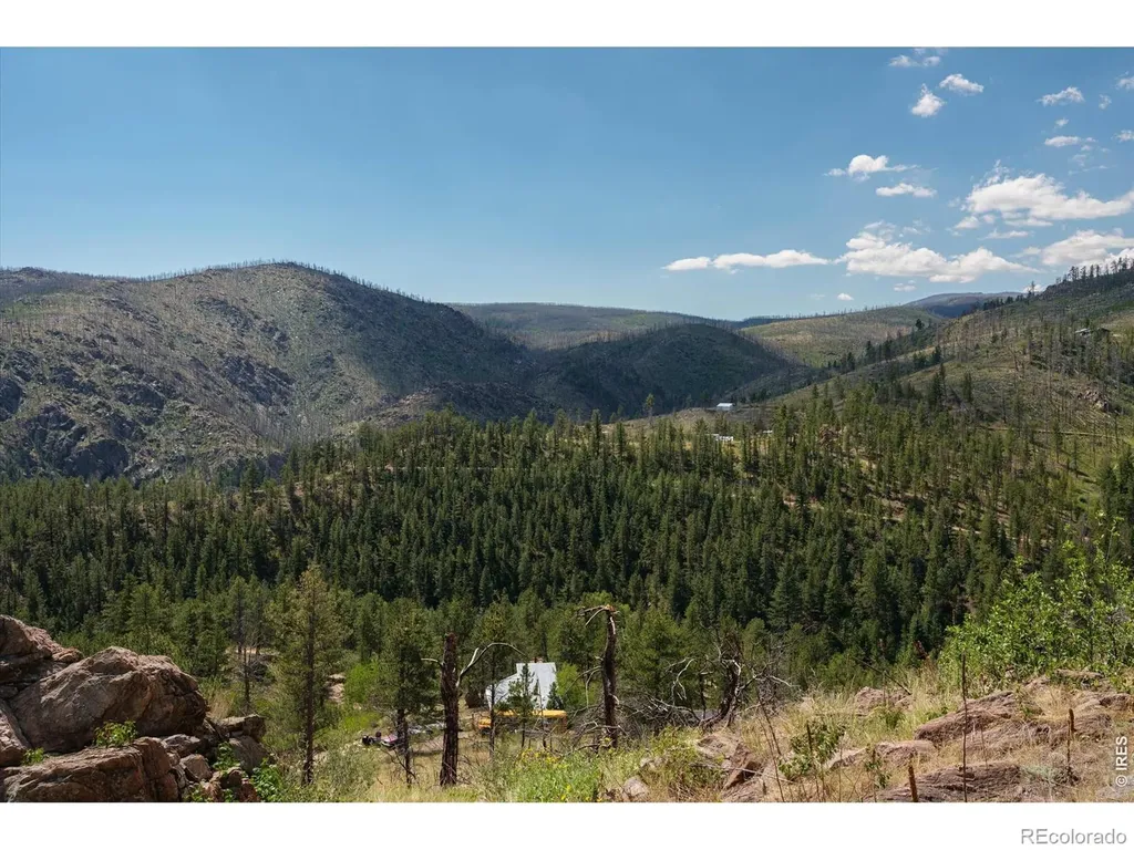 693 Cougar Drive Bellvue CO 80512