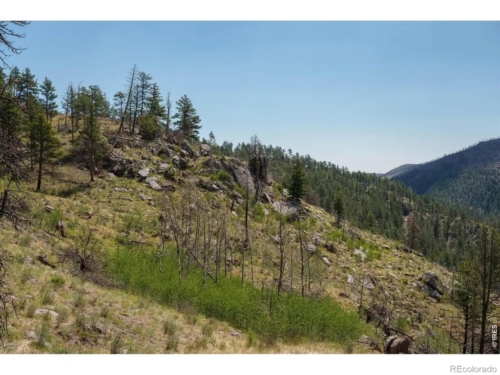 693 Cougar Drive Bellvue CO 80512
