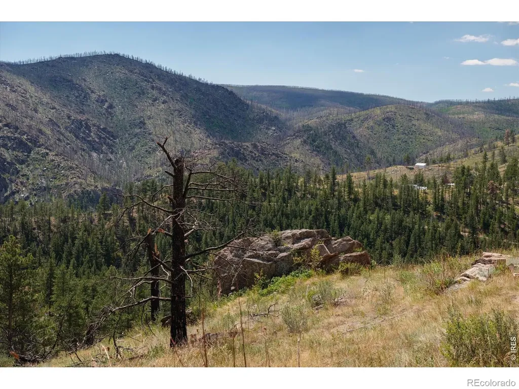 693 Cougar Drive Bellvue CO 80512