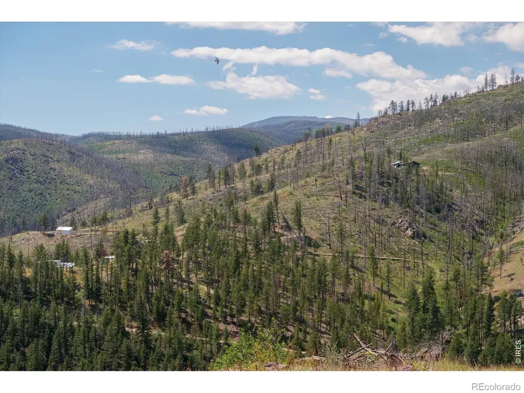 693 Cougar Drive Bellvue CO 80512