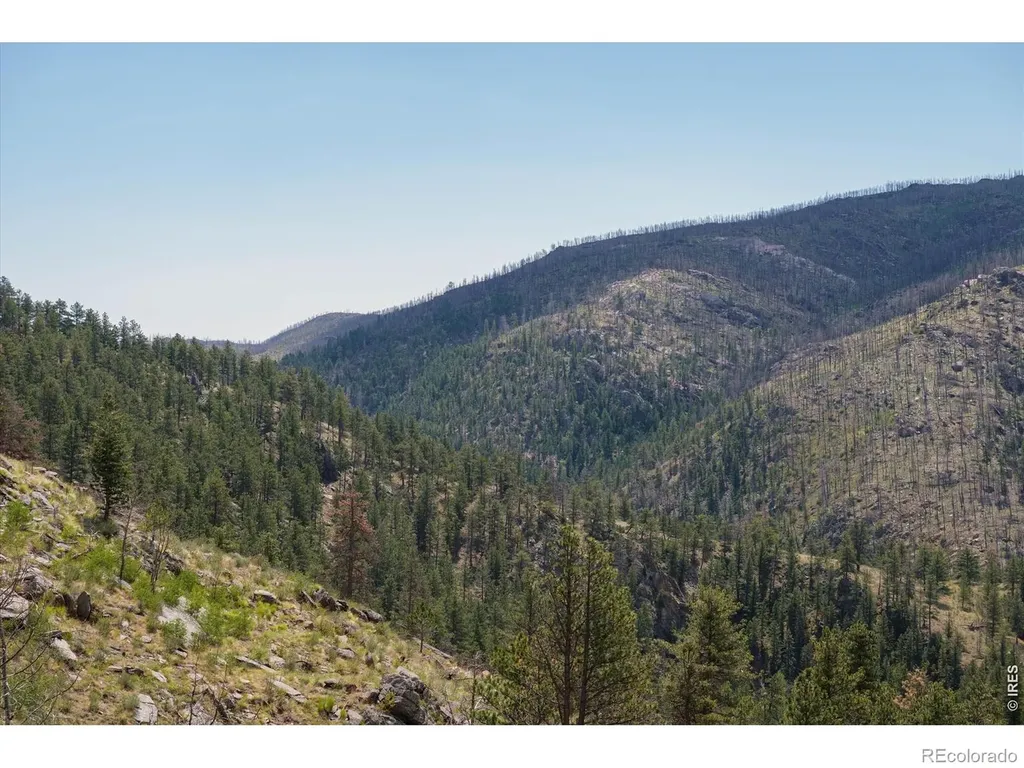693 Cougar Drive Bellvue CO 80512