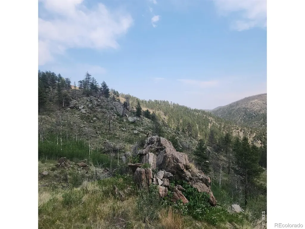 693 Cougar Drive Bellvue CO 80512