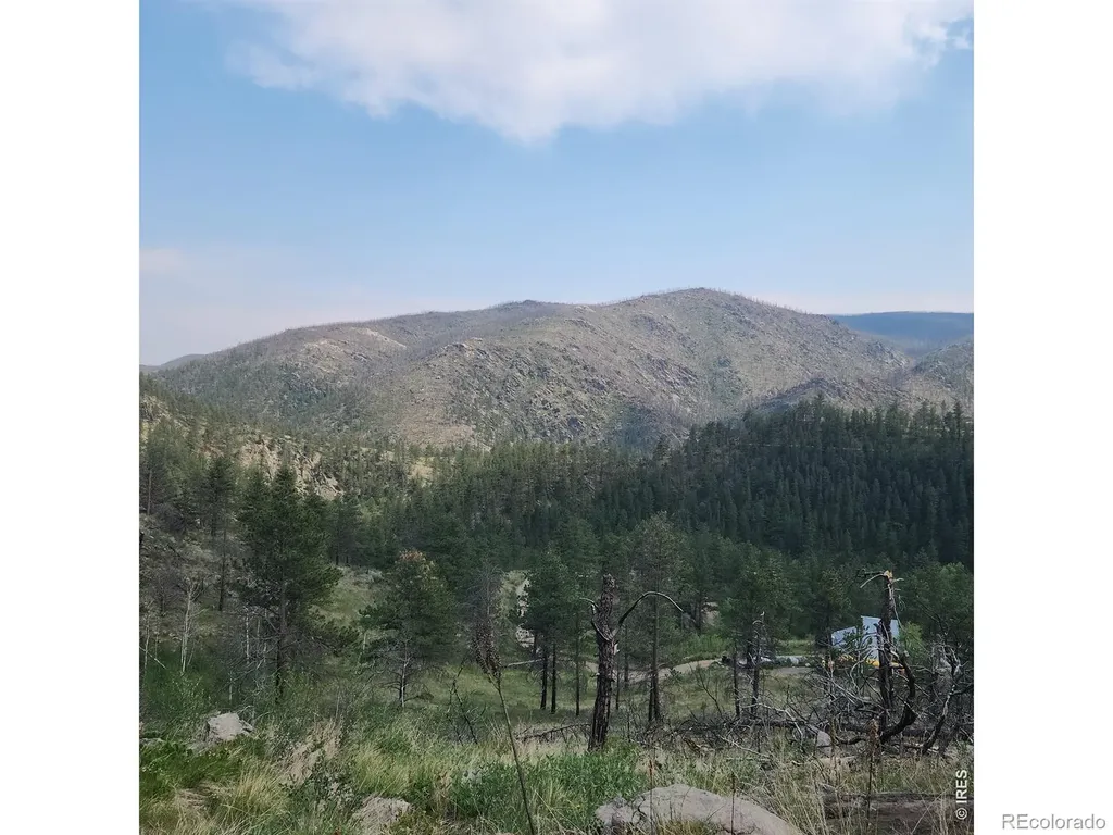 693 Cougar Drive Bellvue CO 80512
