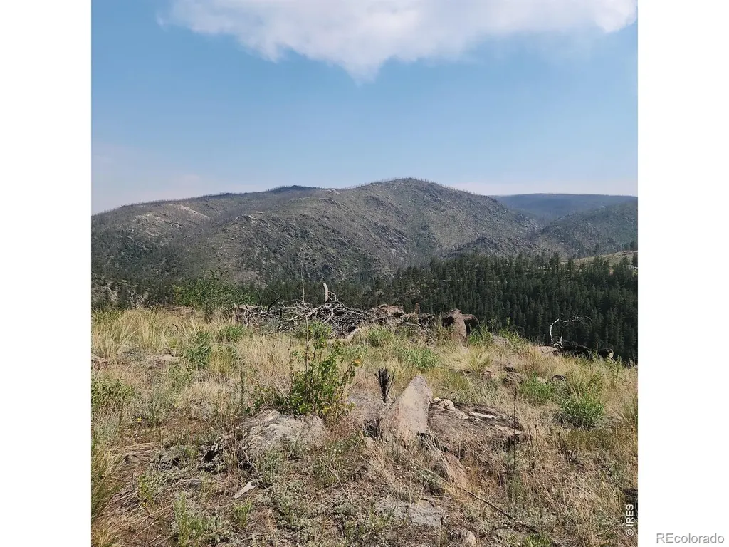 693 Cougar Drive Bellvue CO 80512