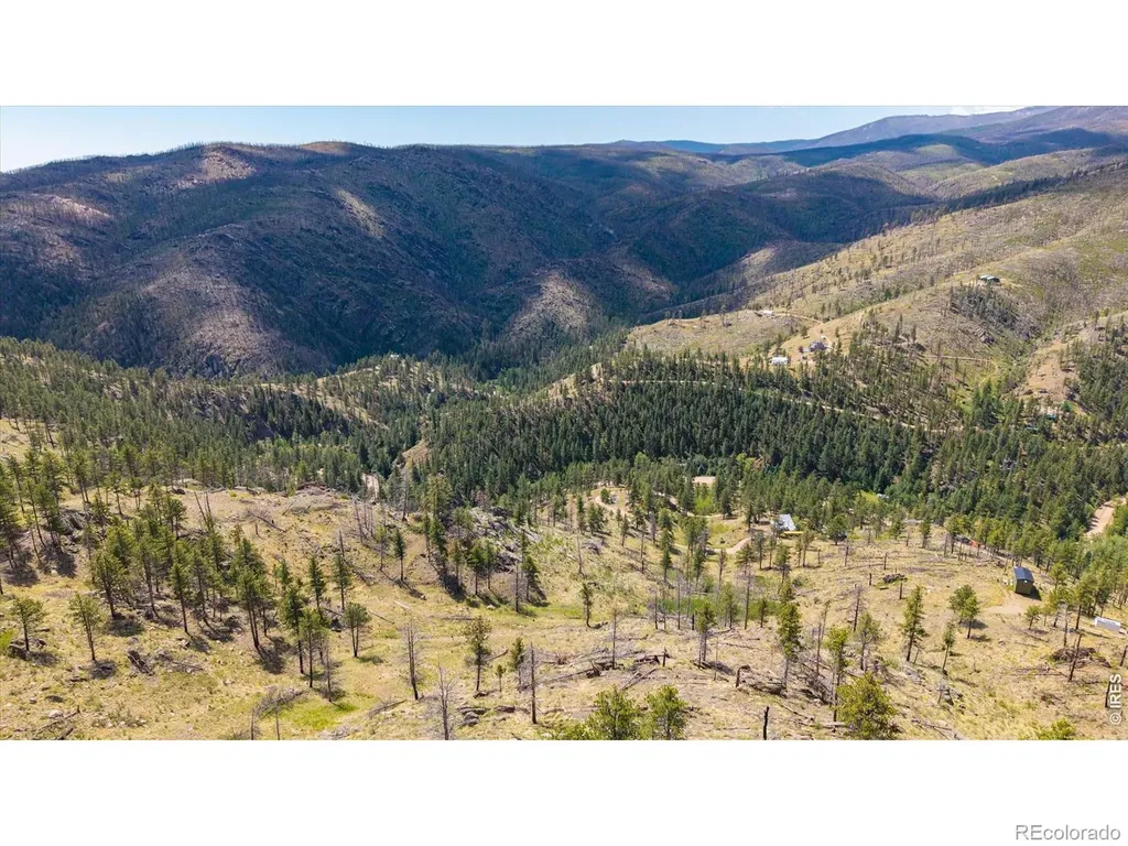 693 Cougar Drive Bellvue CO 80512