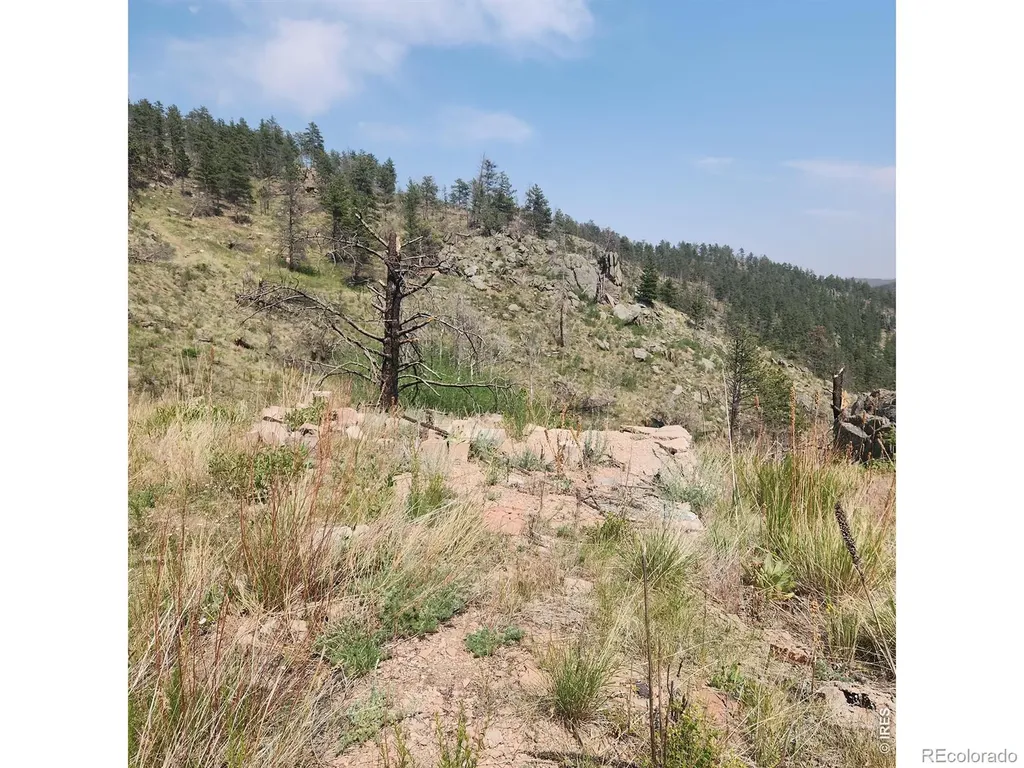693 Cougar Drive Bellvue CO 80512