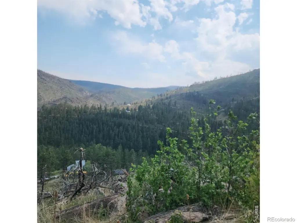 693 Cougar Drive Bellvue CO 80512