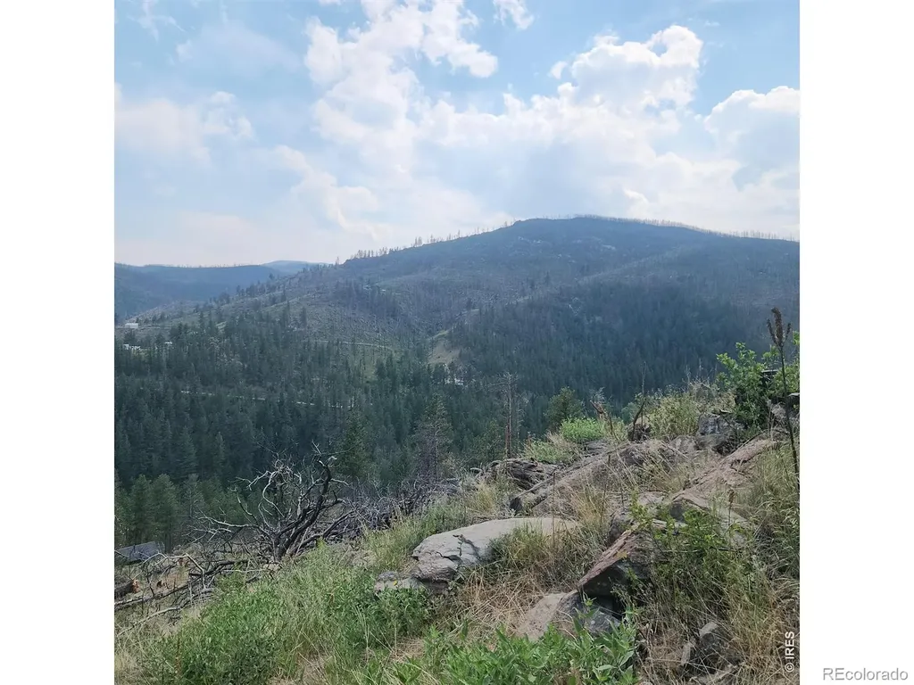 693 Cougar Drive Bellvue CO 80512