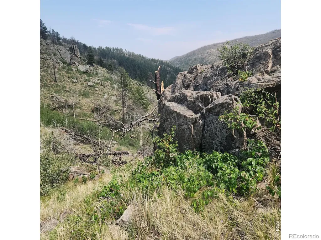 693 Cougar Drive Bellvue CO 80512