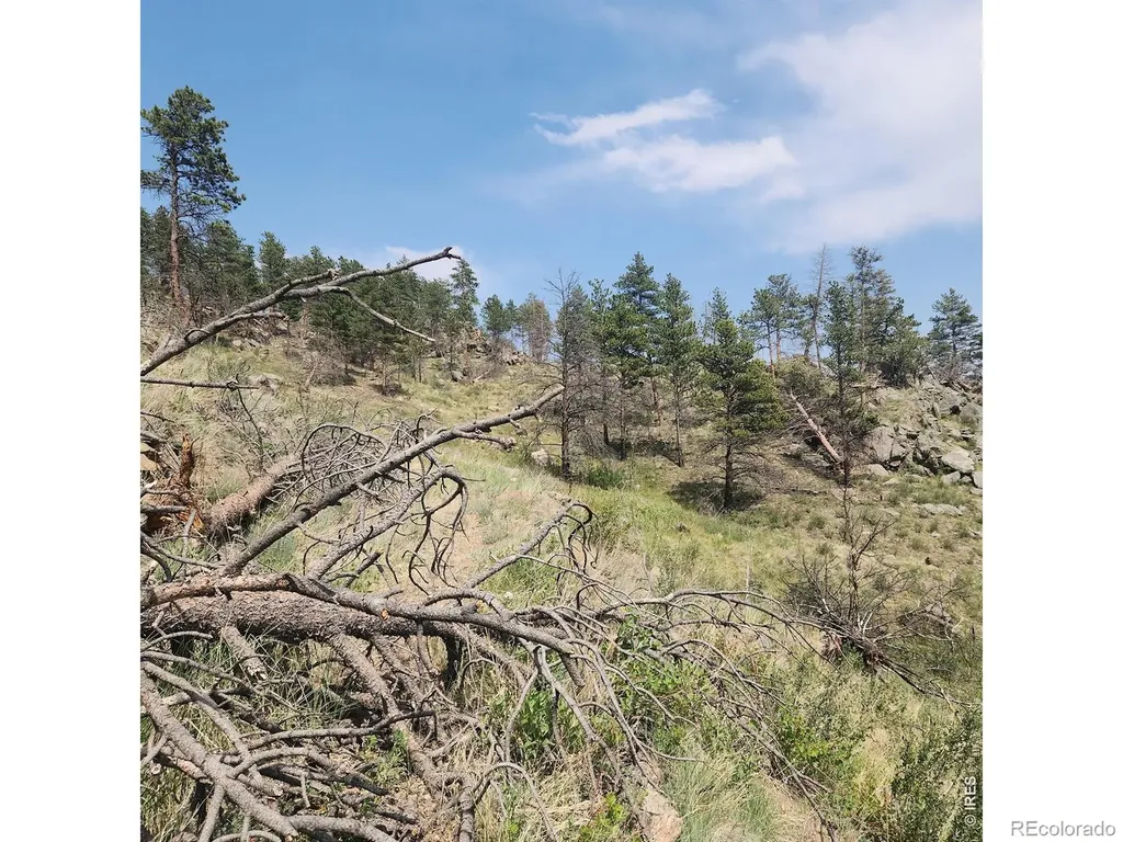 693 Cougar Drive Bellvue CO 80512