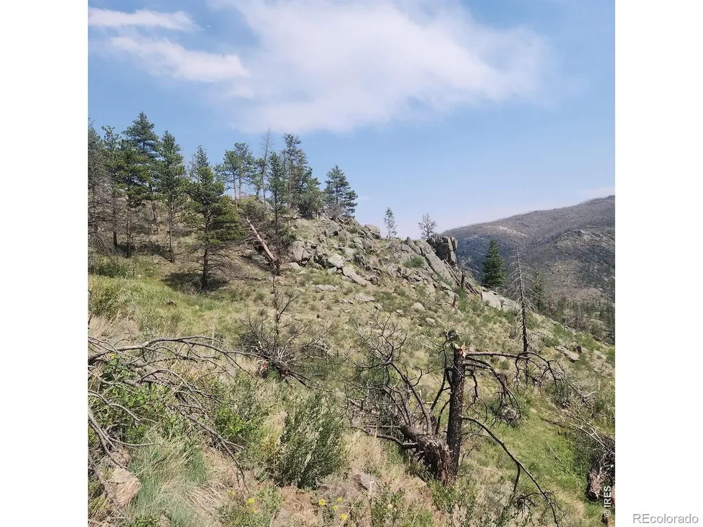 693 Cougar Drive Bellvue CO 80512