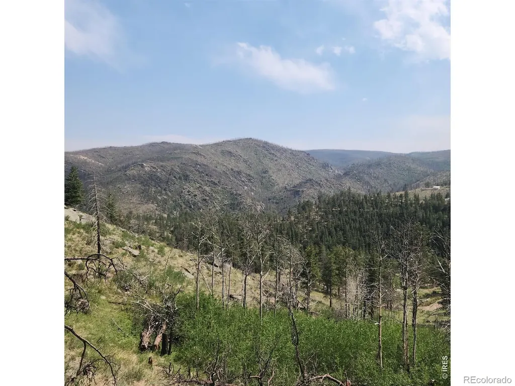 693 Cougar Drive Bellvue CO 80512