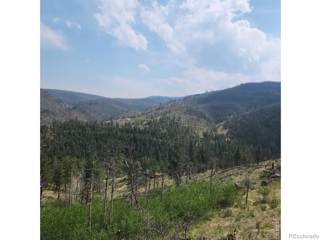 693 Cougar Drive Bellvue CO 80512