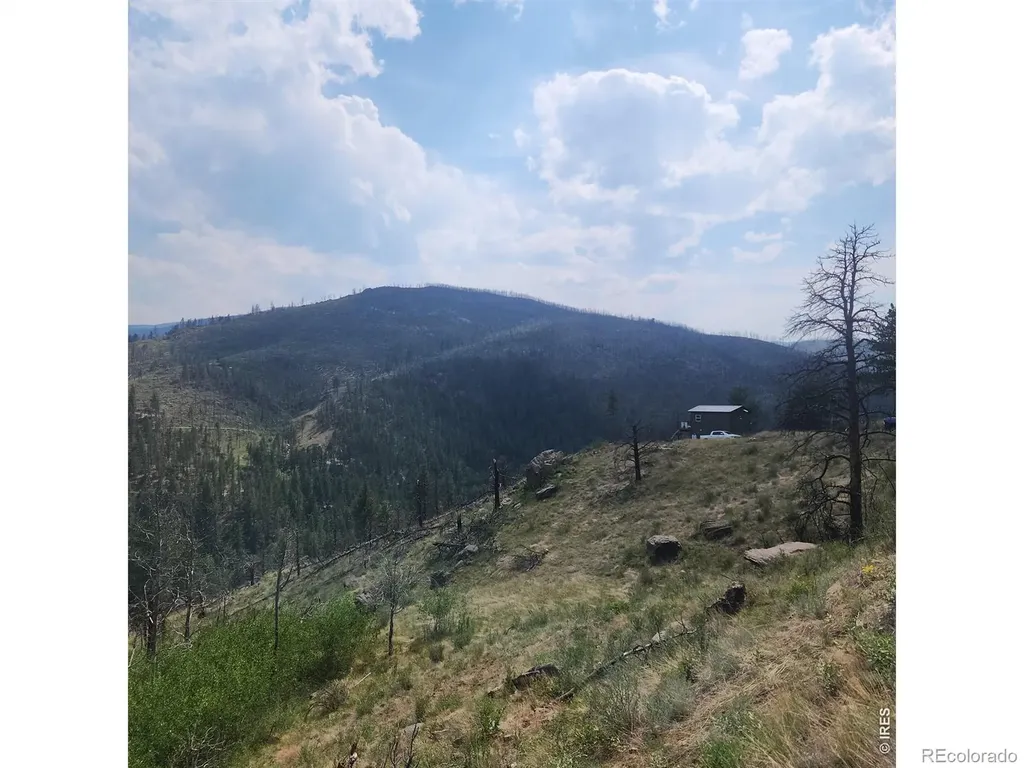 693 Cougar Drive Bellvue CO 80512