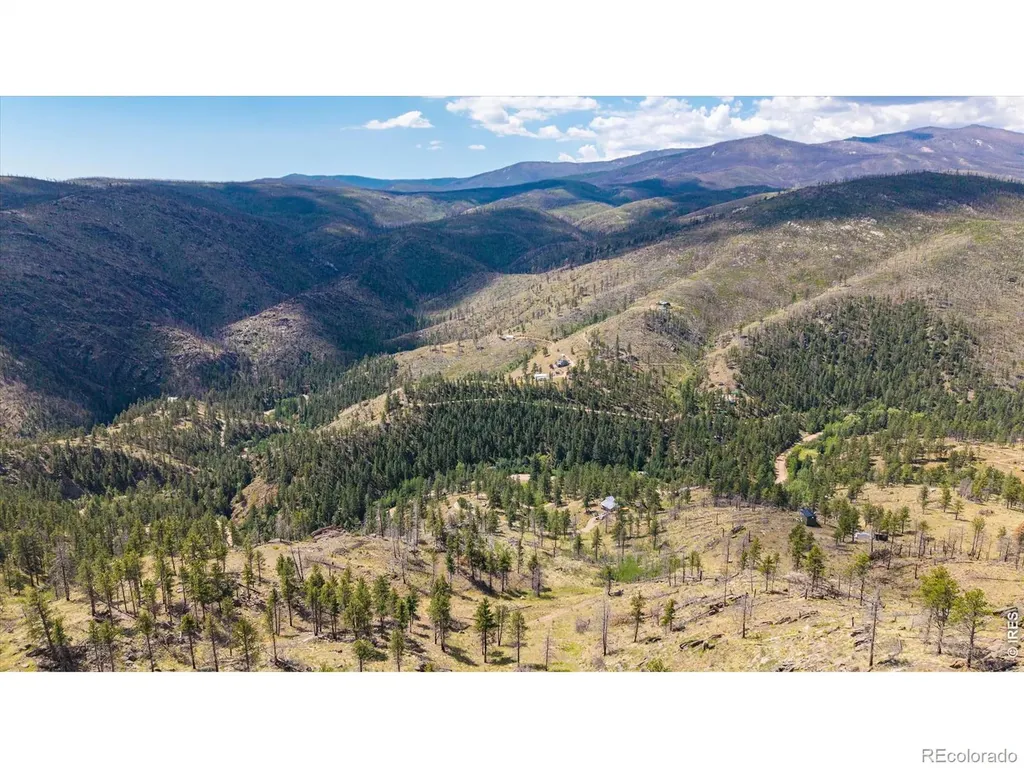 693 Cougar Drive Bellvue CO 80512