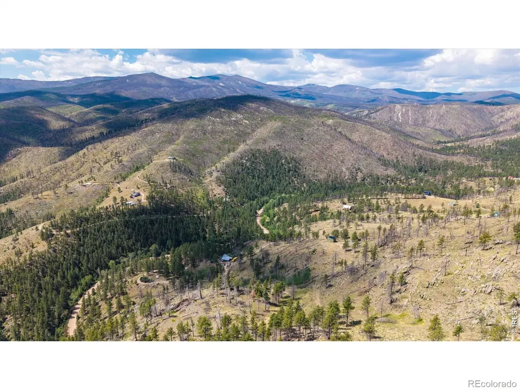 693 Cougar Drive Bellvue CO 80512