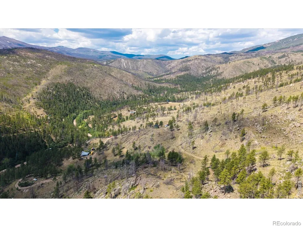 693 Cougar Drive Bellvue CO 80512