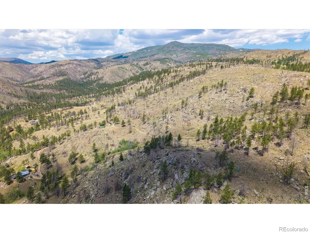 693 Cougar Drive Bellvue CO 80512