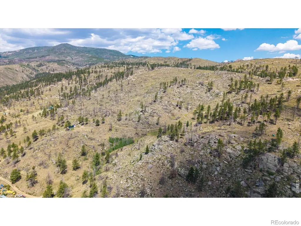 693 Cougar Drive Bellvue CO 80512