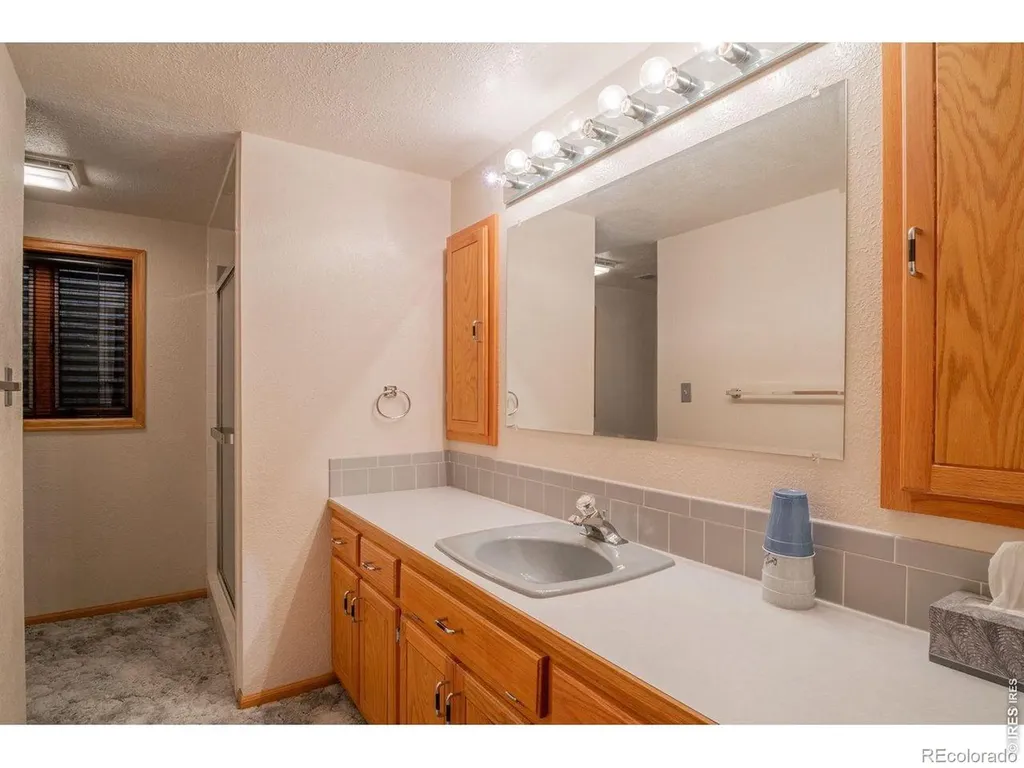 4103 Lissa Drive Loveland CO 80537