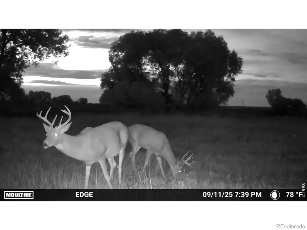 0 County Road 388 Kersey CO 80644