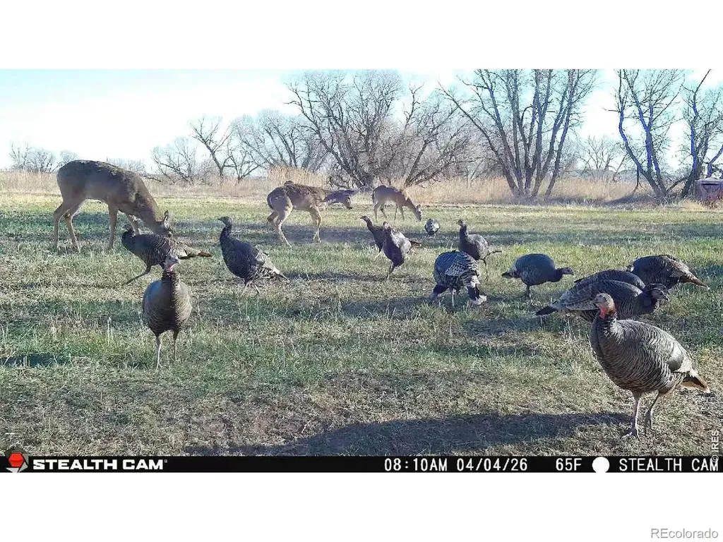 0 County Road 388 Kersey CO 80644