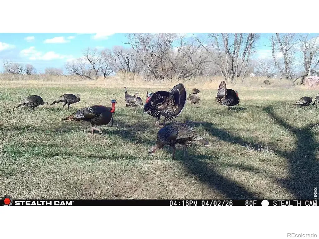 0 County Road 388 Kersey CO 80644