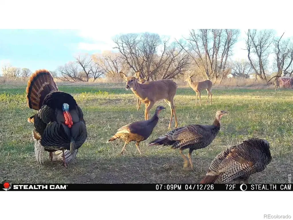 0 County Road 388 Kersey CO 80644