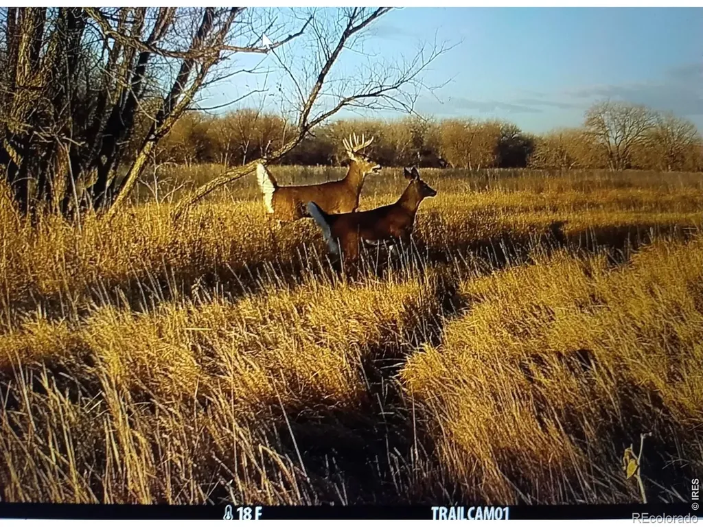 0 County Road 388 Kersey CO 80644