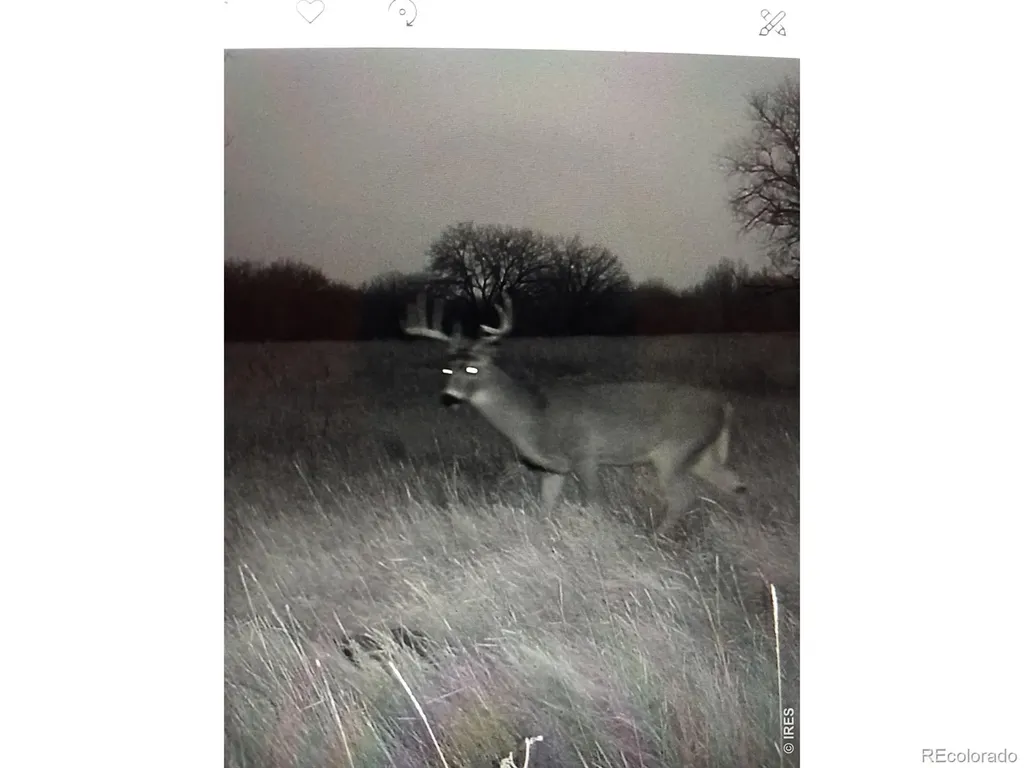 0 County Road 388 Kersey CO 80644