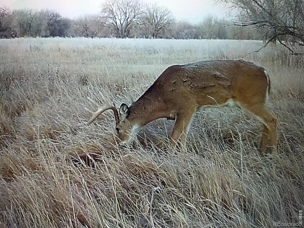 0 County Road 388 Kersey CO 80644