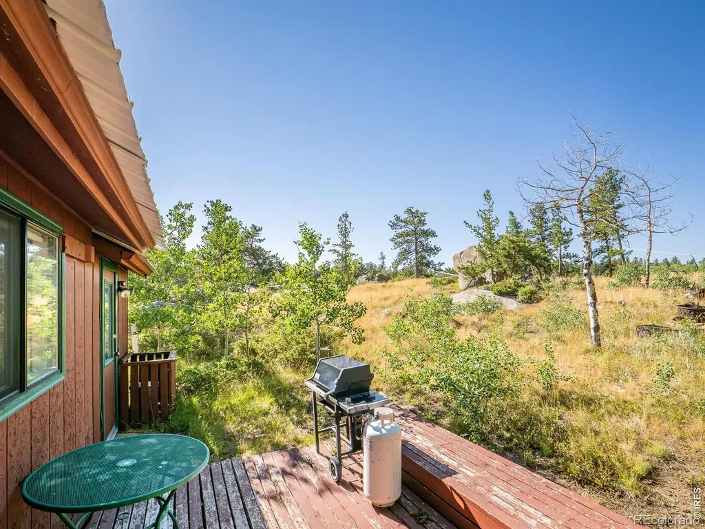 478 Wapiti Road Red Feather Lakes CO 80545
