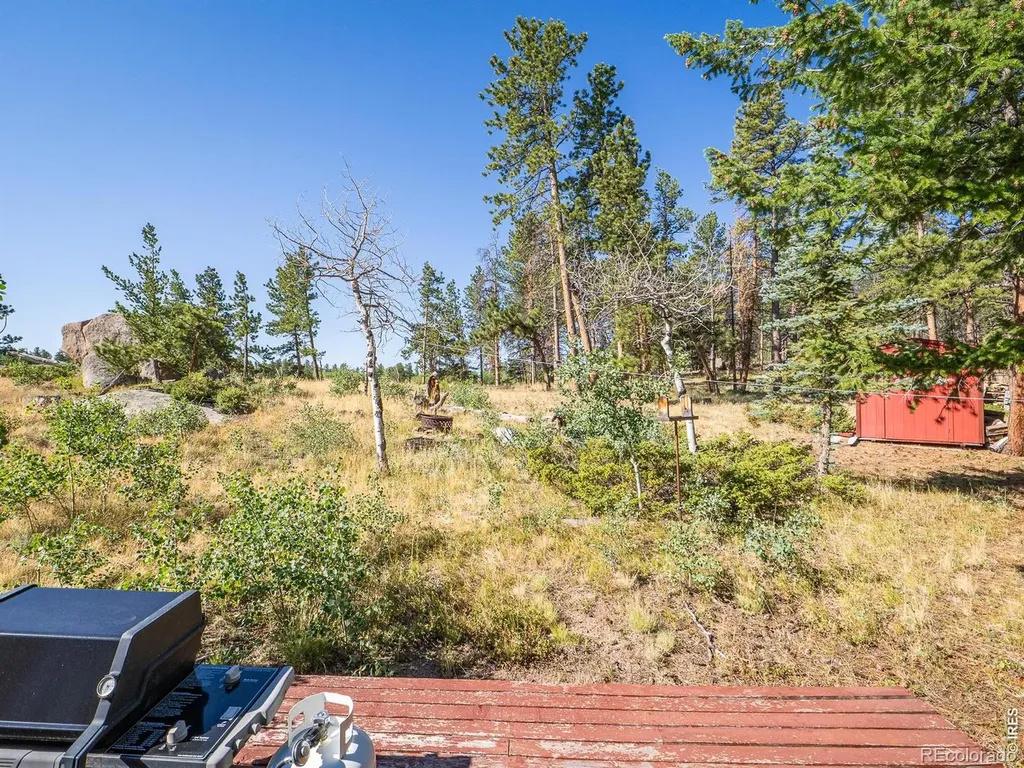 478 Wapiti Road Red Feather Lakes CO 80545