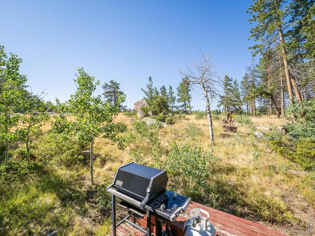 478 Wapiti Road Red Feather Lakes CO 80545