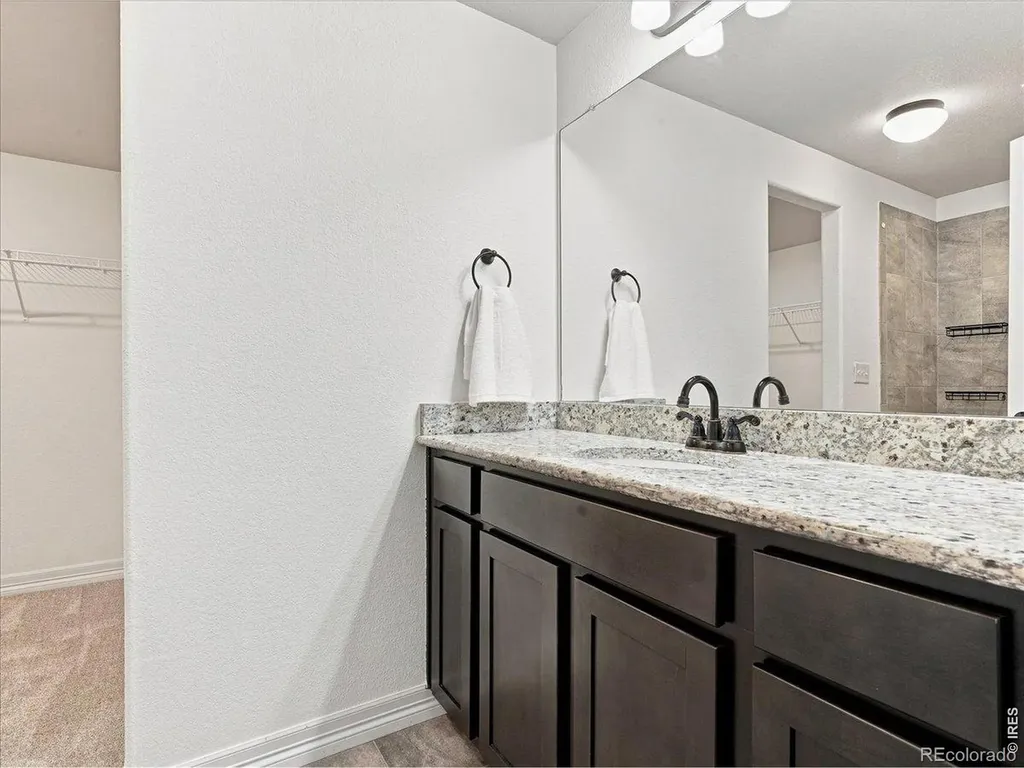 1381 Larimer Ridge Parkway Timnath CO 80547