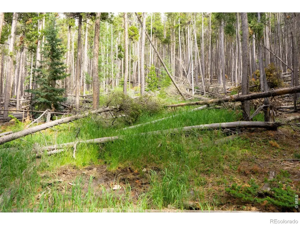 0 Twin Spruce Road Golden CO 80403