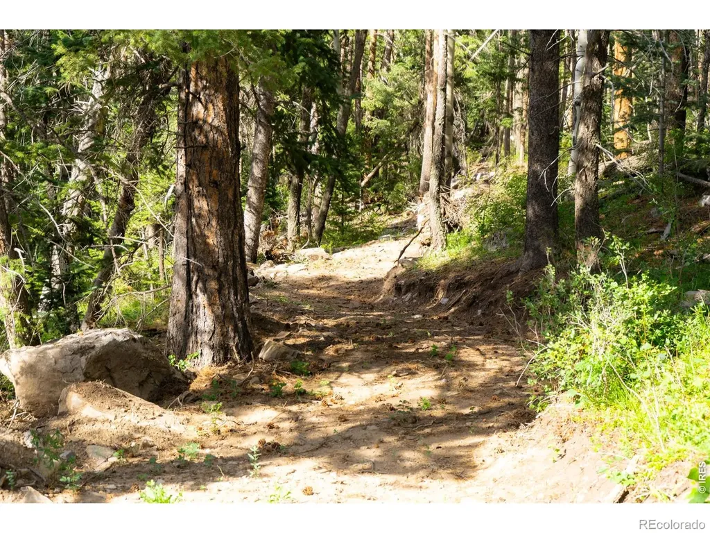 0 Twin Spruce Road Golden CO 80403