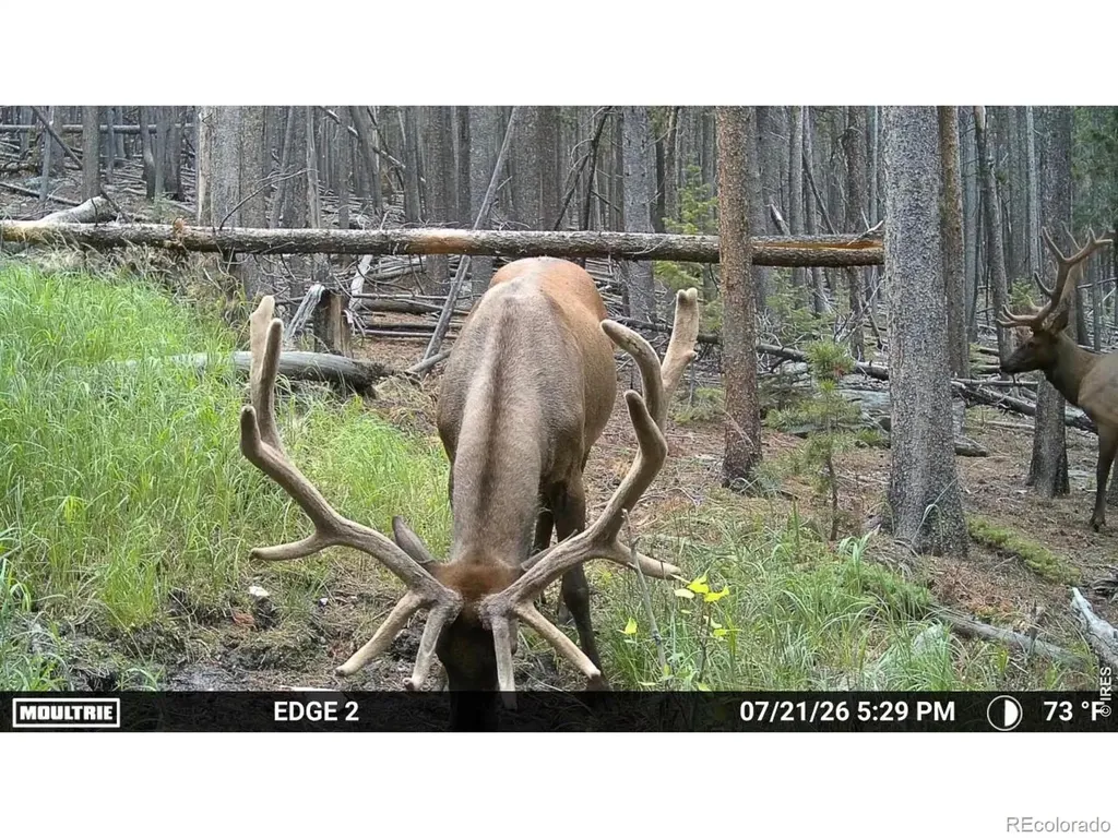 0 Twin Spruce Road Golden CO 80403
