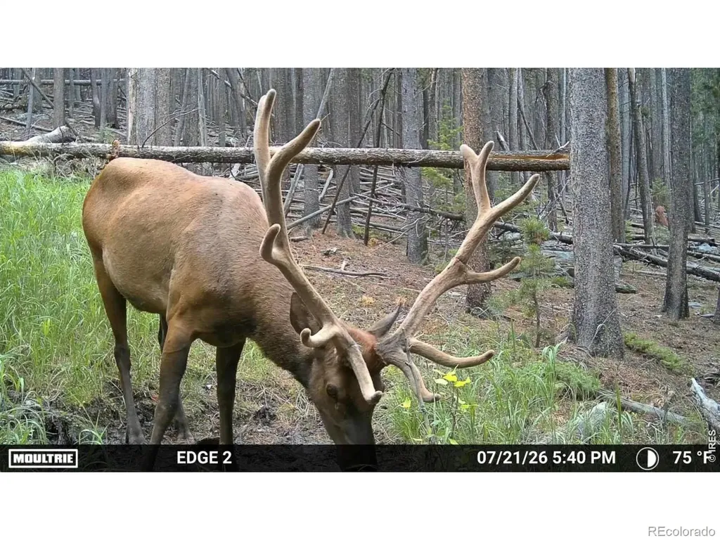0 Twin Spruce Road Golden CO 80403
