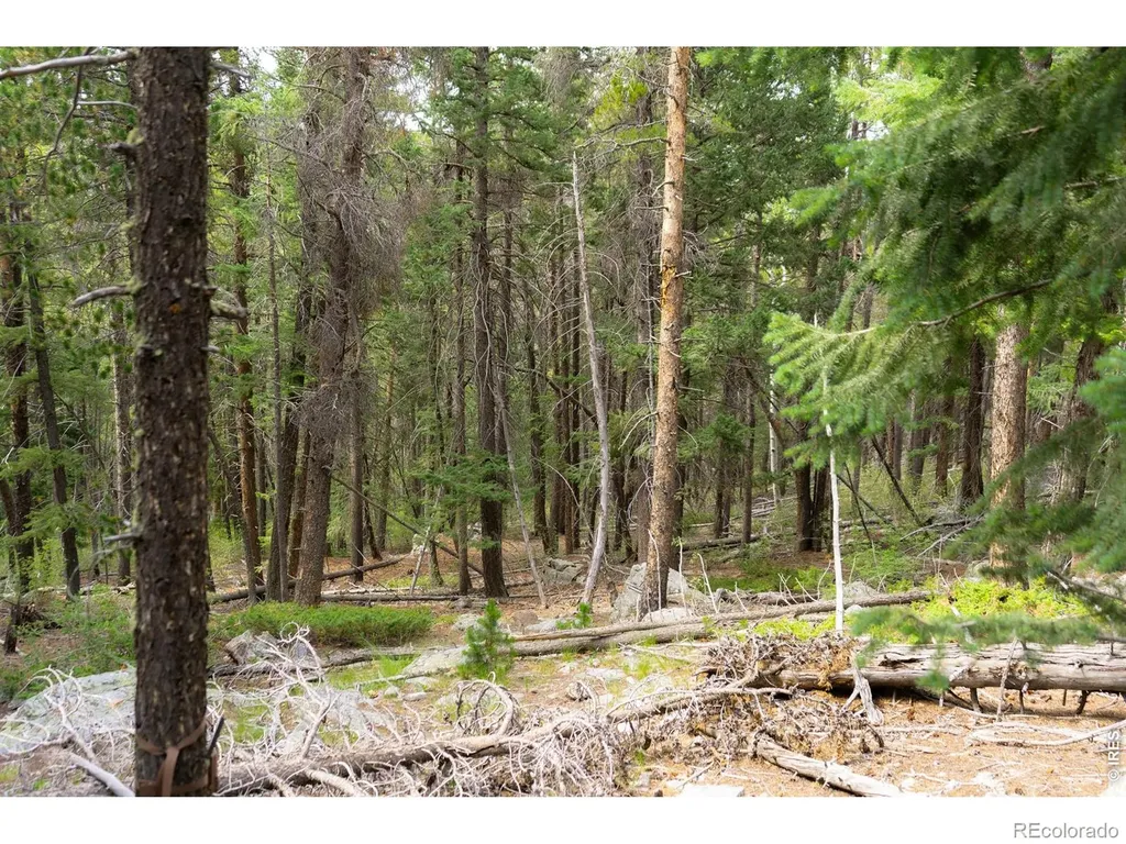 0 Twin Spruce Road Golden CO 80403
