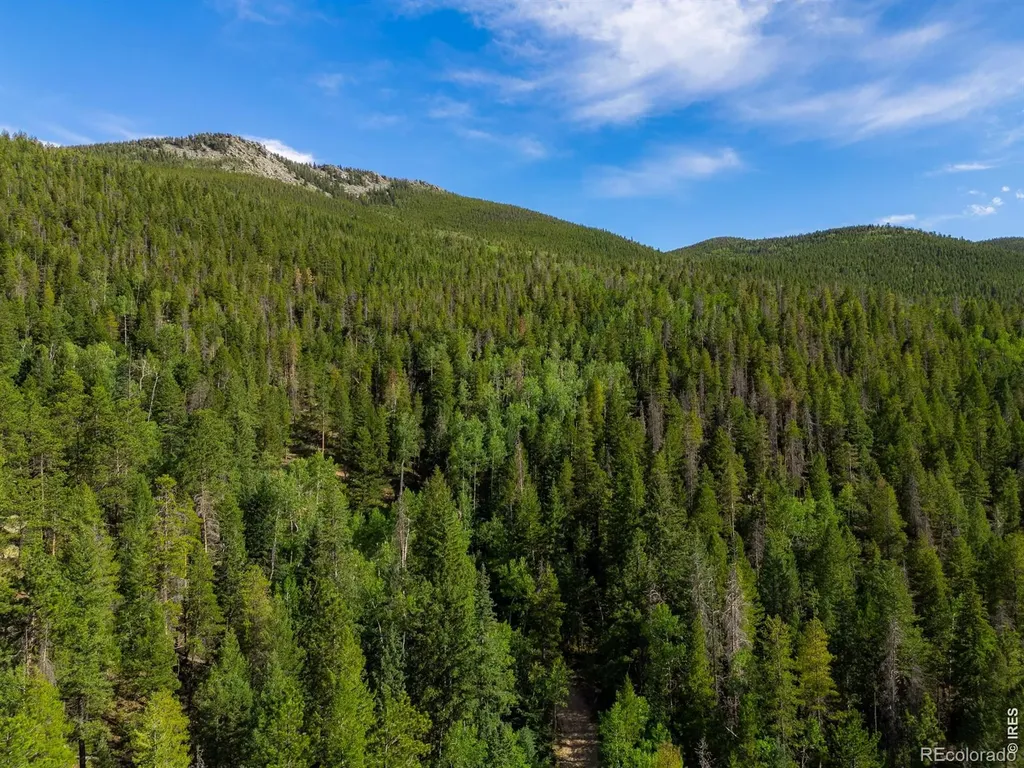 0 Twin Spruce Road Golden CO 80403