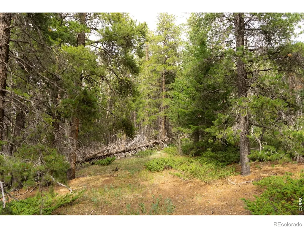 0 Twin Spruce Road Golden CO 80403