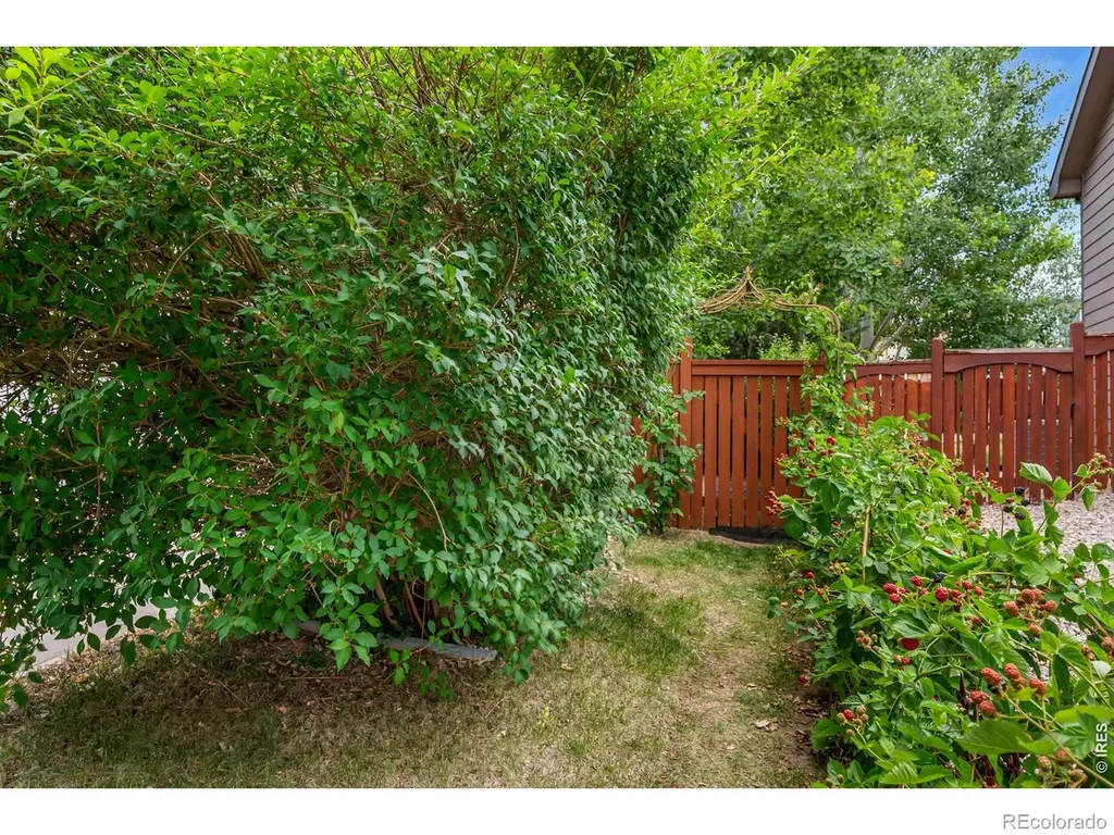 4153 Divide Drive Loveland CO 80538