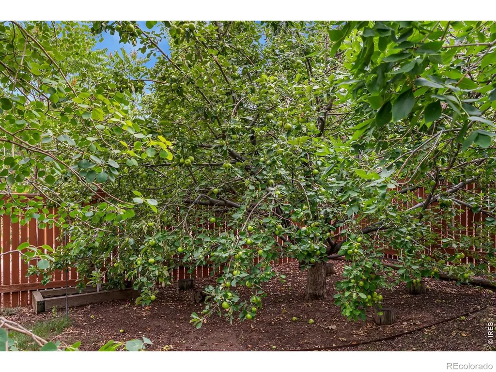 4153 Divide Drive Loveland CO 80538