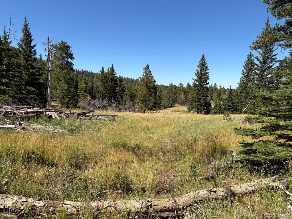 Pratt Creek Road Livermore CO 80536