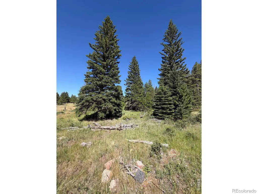 Pratt Creek Road Livermore CO 80536