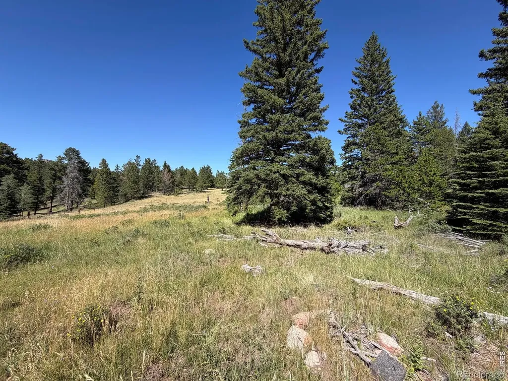 Pratt Creek Road Livermore CO 80536