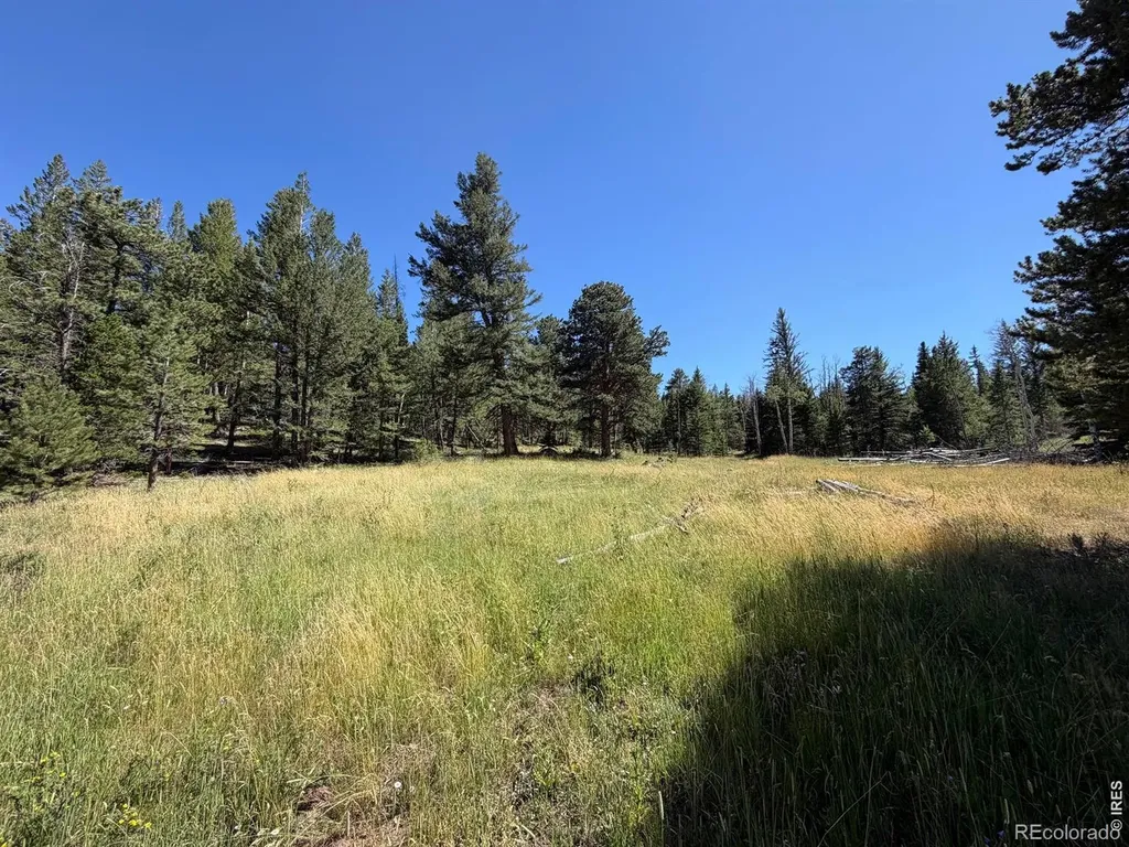 Pratt Creek Road Livermore CO 80536