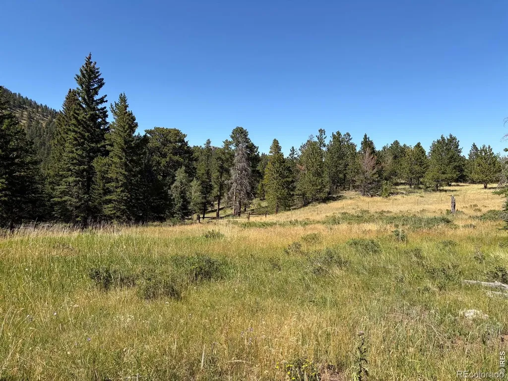 Pratt Creek Road Livermore CO 80536
